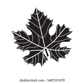 Black Grape Wine Leaf on White Background - Illustration Isolated Icon