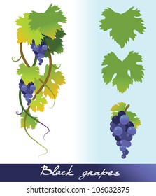 Black grapes