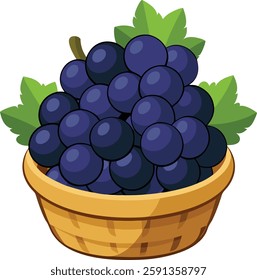 Black grapes full of   basket   vector art illustration 