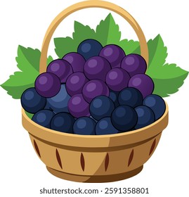 Black grapes full of   basket   vector art illustration 