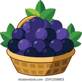 Black grapes full of   basket   vector art illustration 