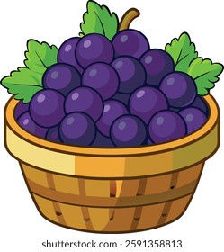 Black grapes full of   basket   vector art illustration 