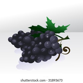 Black grapes. Vector illustration.