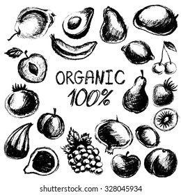 Black graphic fruit set, vector fruits collection isolated on white background, chalk freehand drawing, healthy eating