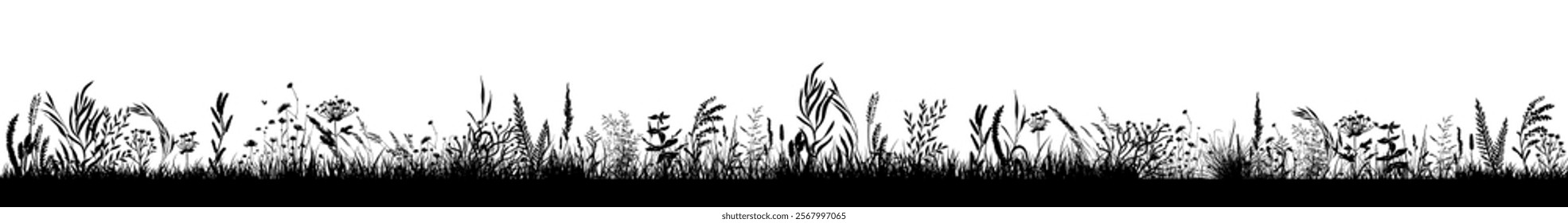 black grass horizontal silhouettes . hand drawing. Not AI Vector illustration.