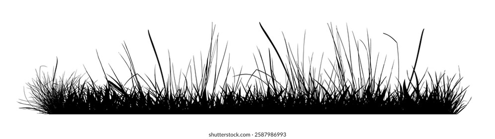 black grass horizontal silhouettes . hand drawing. Not AI Vector illustration.