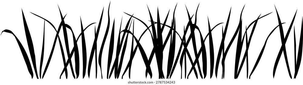 Black grass silhouette horizontal border. Seamless meadow lawn blades or reed field panoramic element