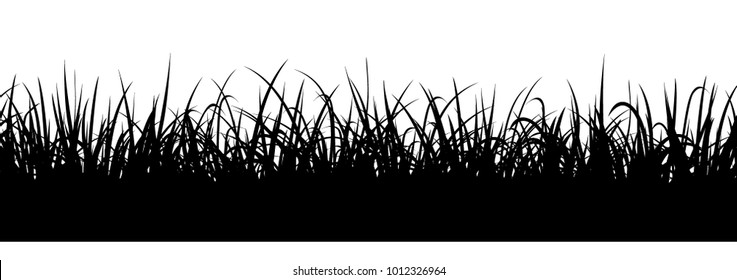 Black grass silhouette, seamless illustration. Meadow border