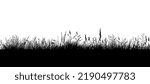 Black grass silhouette. Vector illustration