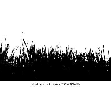 Black grass silhouette. Vector illustration