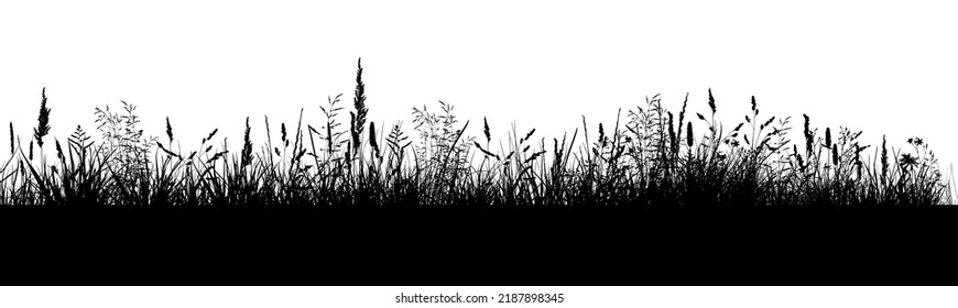 Black grass silhouette. Vector illustration