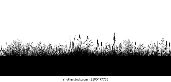 Black grass silhouette. Vector illustration