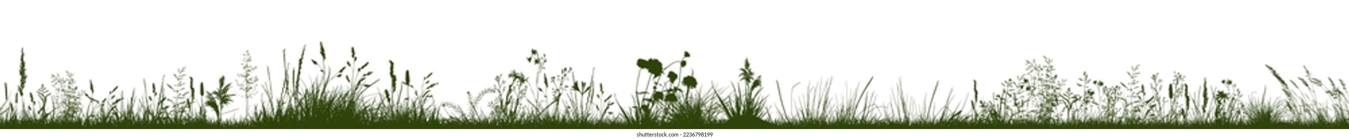 Black grass silhouette. Vector illustration
