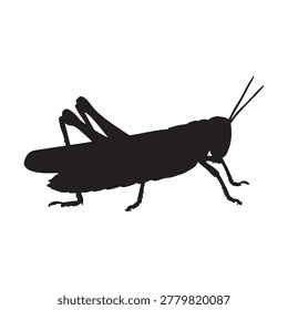 A black grasshopper silhouette is shown against a plain white background.