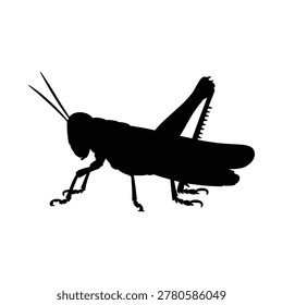 A black grasshopper silhouette is shown against a plain white background, presented as a vector