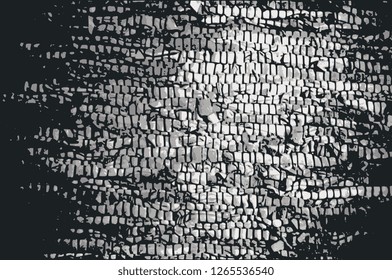 black, gray and white pattern camels skin
