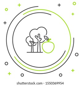 Black and green line Tree with apple icon isolated on white background. Agricultural plant. Organic farm product. Gardening theme. Colorful outline concept. Vector Illustration