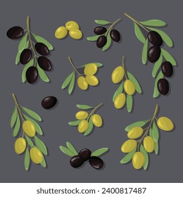 Black and green olive branches set. Color set olives with leaves in cartoon and flat simple style. Design for olive fruit products, oil, health care products,  packaging design. 
