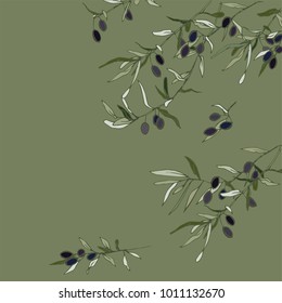 Black and green olives on branches with silvery leaves.