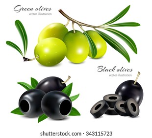 Black and green olives, pitted olives and olives slices. Vector illustration.