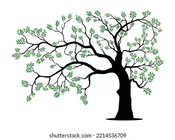 Black and Green spring Tree