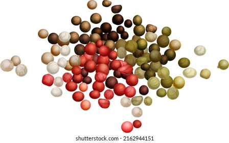 Black, green, white, and pink peppercorns. Vector flat illustration