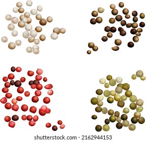 Black, green, white, and pink peppercorns. Vector flat illustration