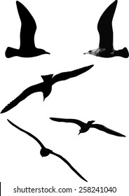Black and grey scale Seagull vectors shown in flight