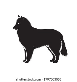Black groenendaeler belgian shepherd dog - isolated vector illustration svg