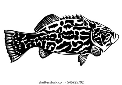 grouper images stock photos vectors shutterstock https www shutterstock com image vector black grouper fish isolated on white 546925702