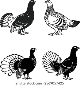 Black grouse bird bundle line art and illustrator eps