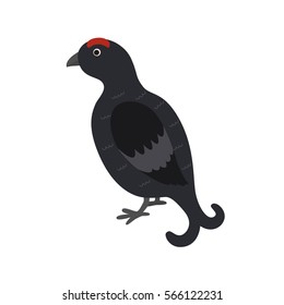 Black grouse vector illustration for children