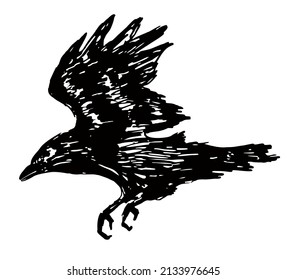 Black grunge brush raven silhouette isolated on white background. Flying raven. Ink drawing.