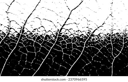 Black grunge vector texture of veins, cracks, stripes. Vector background	
