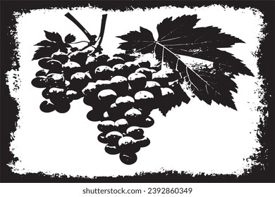 black grungy texture of grapes vector illustration 


