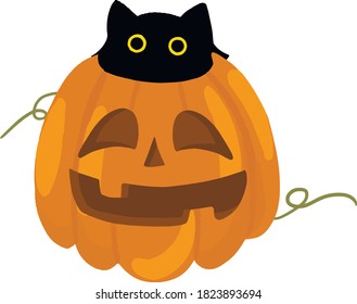 black halloween cat in pumpkin