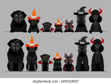 black halloween dog in a row