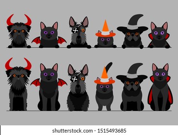 black halloween small dogs and cats in a row