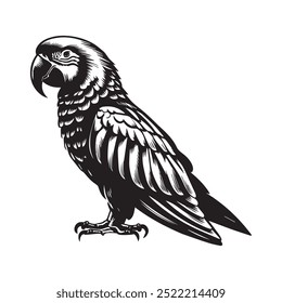 Black hand drawing beautiful parrot