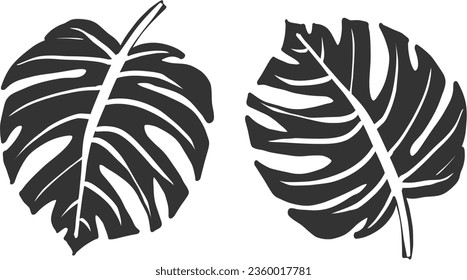 Black hand drawing leaf, leaves isolated on white background design for wallpaper, or art work, icon or logo of nature brand 