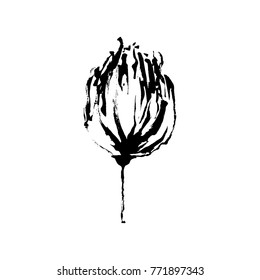 Black hand drawn brush paint flower. Vector stylized decorative silhouette painted by ink. Isolated on white background.