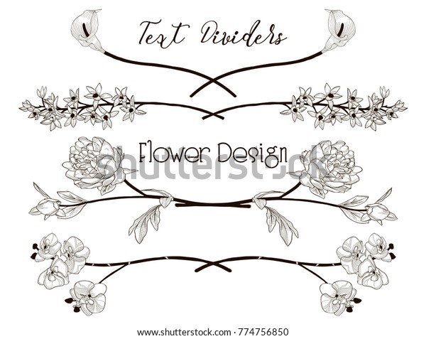 Black Hand\
Drawn Floral Text Dividers, Line Borders with Branches, Herbs,\
Plants and Flowers. Decorative Outlined Vector Illustration. Flower\
Design Elements. Peony, Calla-Lily,\
Orchid