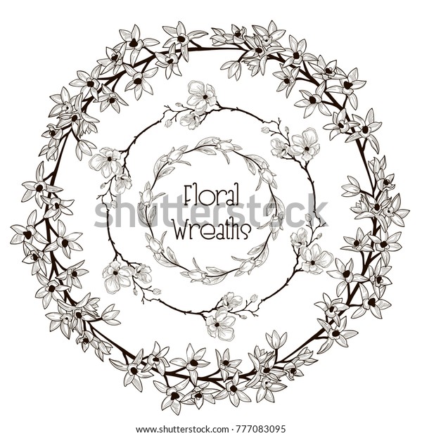 Black Hand Drawn\
Floral Wreaths, Round Frames with Branches, Herbs, Plants and\
Flowers. Decorative Outlined Vector Illustration. Flower Design\
Elements. Peony, Cherry\
Blossom