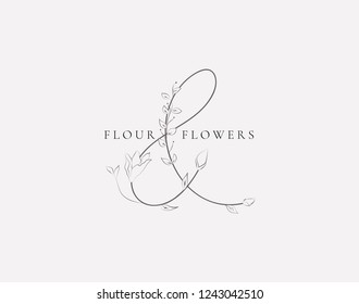 Black Hand Drawn Floristic Feminine Brand Logo Template, Monogram Ampersand with Delicate Flowers, Branches, Plants. Decorative Outlined Vector Illustration. Floral Design Element.