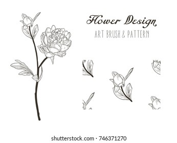 Black Hand Drawn Flower Peony with Bud. Floral Design Element. Object, Color adjustable Flexible Art Brush and Seamless Pattern. Vector Illustration