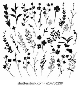 Black Hand Drawn Herbs, Plants and Flowers, Branches, Florals Shapes, Silhouettes. Vector Illustration