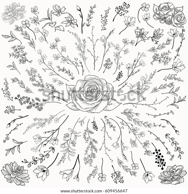 Black Hand Drawn Herbs Plants Flowers Stock Vector (Royalty Free ...