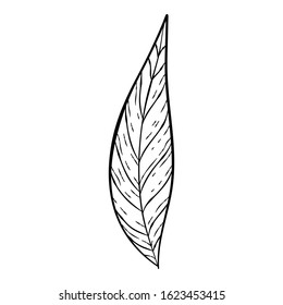 black hand drawn thin line cute doodle floral icons, leaf flowers, peony, laurel, wreath. Design element collection isolated on white. Vector illustration