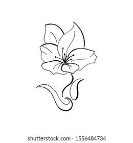 Black hand-drawn flower. Vector, design element. Isolated on a transparent background. Blossom icon.