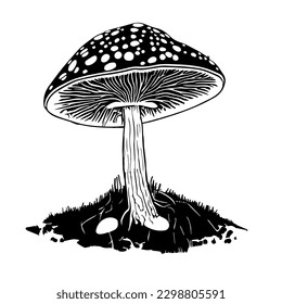 Ilustración vectorial de un hongo fresco Fly agaric aislado en un fondo blanco